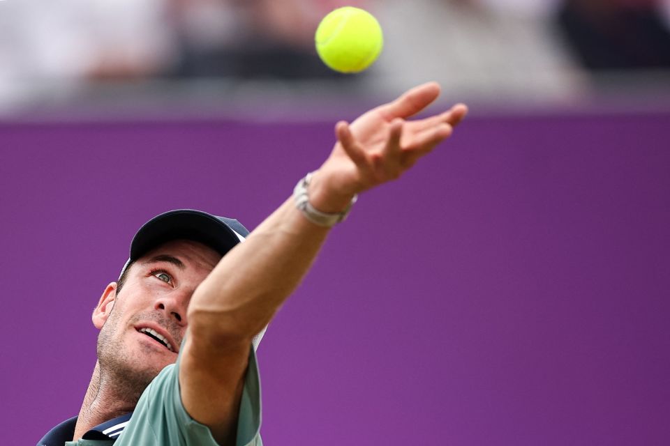 米的表现一 米的表现一