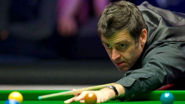 升比赛智商 升比赛智商