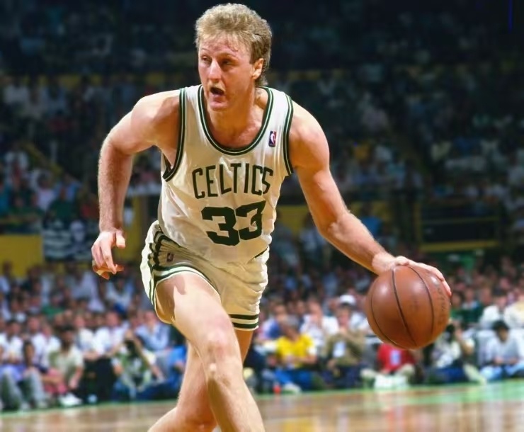 观赛体验的 观赛体验的